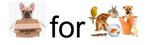pets